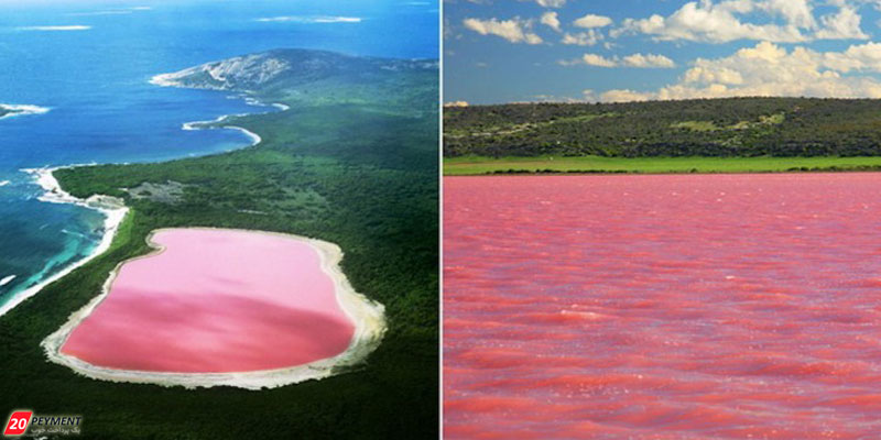 دریاچه صورتی رنگ هیلیر استرالیا