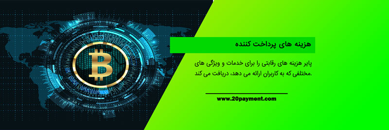 معرفی پلتفرم Payeer