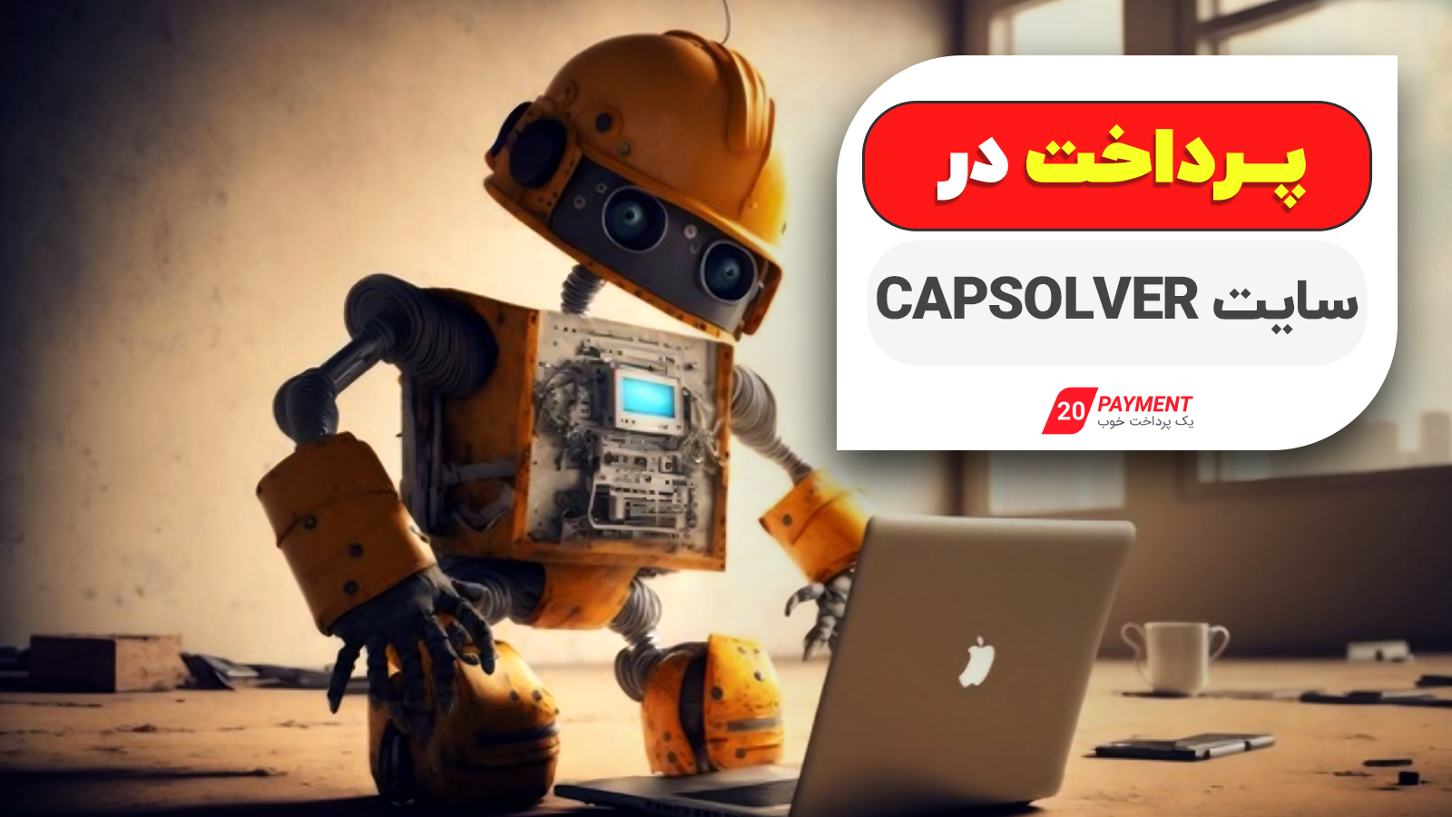 پرداخت در سایت  capsolver