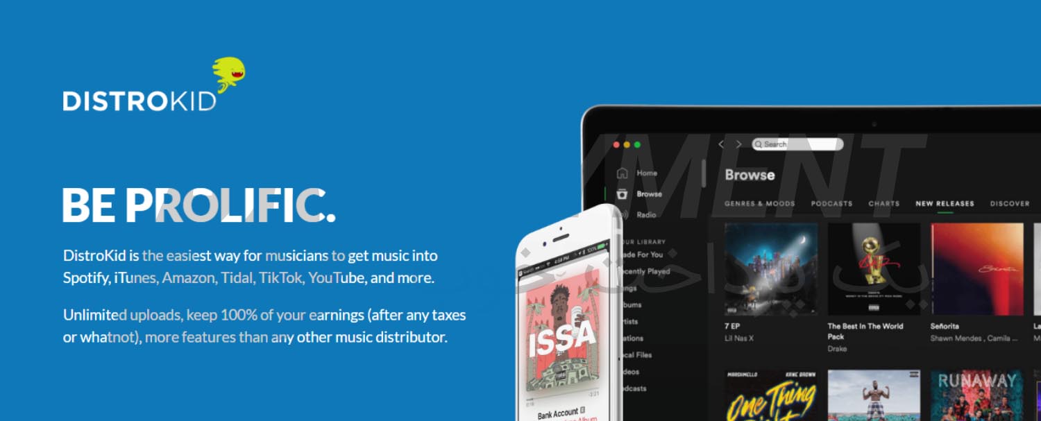 بررسی سایت DistroKid و نحوه درآمد زایی از آن