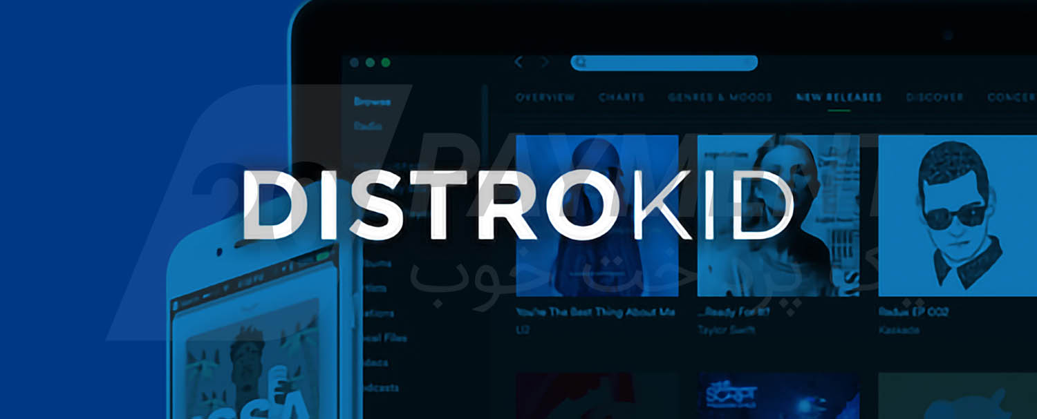 بررسی سایت DistroKid و نحوه درآمد زایی از آن