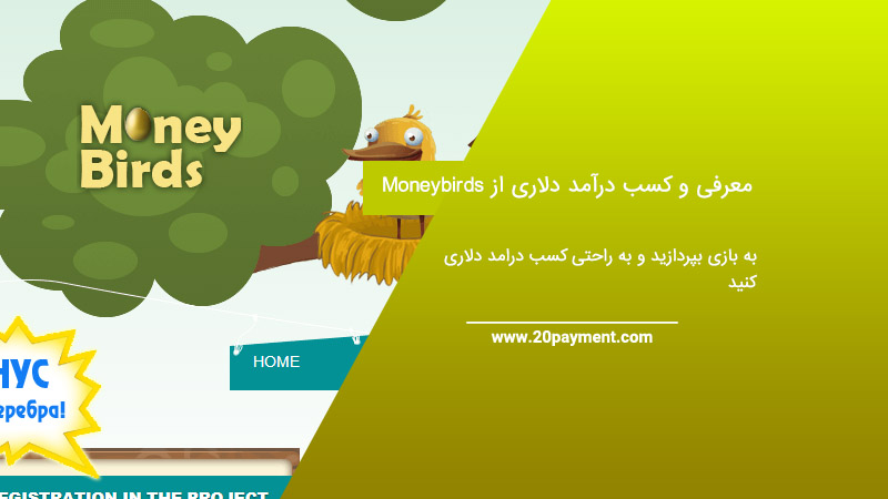 معرفی Money birds و کسب درآمد دلاری از طریق این بازی